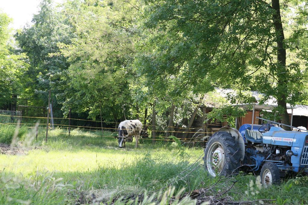 Agriturismo Maliso Ceggia エクステリア 写真